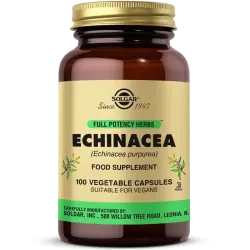 Solgar Echinacea Ekinezya 520 mg 100 Kapsül - 1