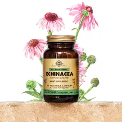 Solgar Echinacea Ekinezya 520 mg 100 Kapsül - 2