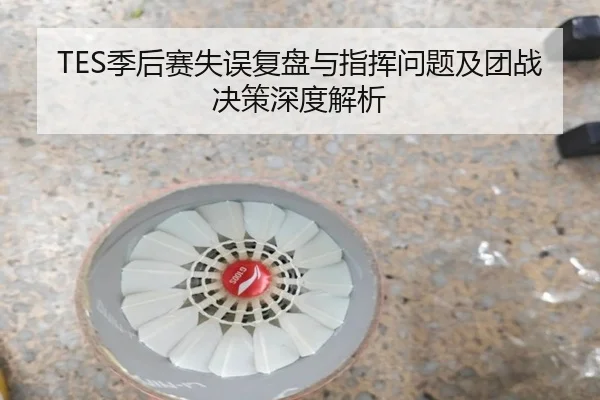 TES季后赛失误复盘与指挥问题及团战决策深度解析
