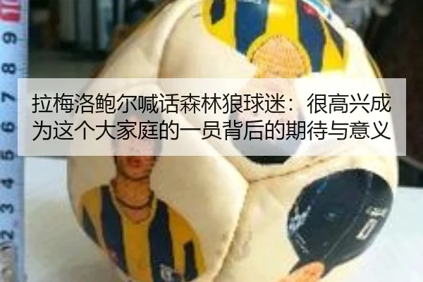 拉梅洛鲍尔喊话森林狼球迷：很高兴成为这个大家庭的一员背后的期待与意义