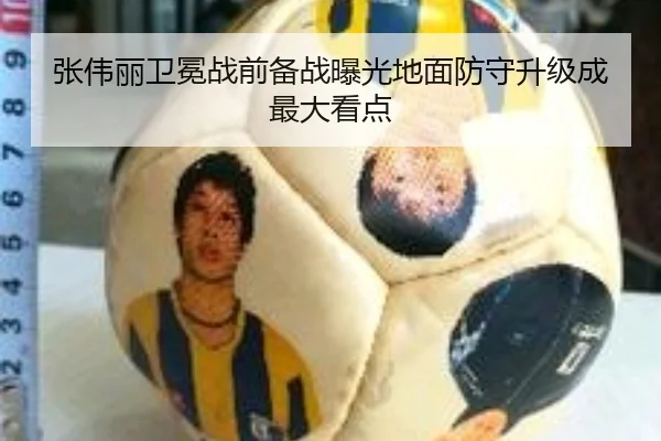 张伟丽卫冕战前备战曝光地面防守升级成最大看点